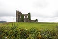 Old ruins of irish castle