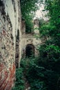 Old ruins of a medieval abandoned ruined red brick castle with arches overgrown with trees and plants Royalty Free Stock Photo