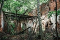 Old ruins of a medieval abandoned ruined red brick castle with arches overgrown with trees and plants Royalty Free Stock Photo