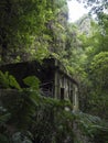 Old run-down overgrown ruin of maintenance house at mysterious Laurel forest, lush subtropical rainforest at hiking