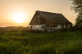 Old rural barn in a field at sunset. Vintage photo of a rustic house. Royalty Free Stock Photo