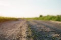 Old rural dust road in sunset light Royalty Free Stock Photo