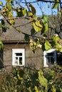 Old rural house behind the apple tree leaves outdoors in countryside. Autumn nature seasonal details Royalty Free Stock Photo