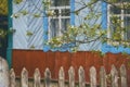 An old rural hut and a fence and branches of a blossoming apple tree in spring. Ukrainian hut in the village. Royalty Free Stock Photo