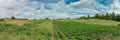 old rural landscape. panoramic view of private farmland Royalty Free Stock Photo