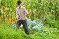 Old rural man using scythe