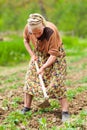 Old rural woman working the land