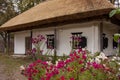 Old rural wooden house with thatched roof. Fall season. Close-up Royalty Free Stock Photo