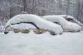 Old russian cars buried under a thick layer of snow Royalty Free Stock Photo