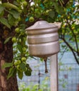 An old russian metal washstand in summer apple garden