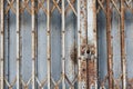 Old rust metal door