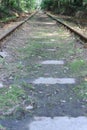 Old rust railroad trucks for cargo railway trains in green gorge with trees in summer in daylight