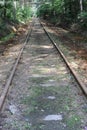 Old rust railroad trucks for cargo railway trains in green gorge with trees in summer in daylight