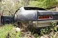 Old rusted and abandoned car Royalty Free Stock Photo