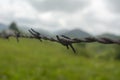 Old rusted barbed wire abstract