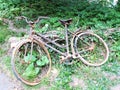 Old and rusted bicycle recovered from a river Royalty Free Stock Photo