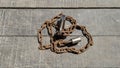 old, rusted chains and padlocks on the wooden floor