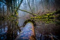 Old rusted metal pipe in a river or swampland Royalty Free Stock Photo