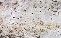 Old rusted metal sheet. Rusty surface caused by oxidation iron w Royalty Free Stock Photo