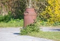 Old rusted milkcan used for decoration Royalty Free Stock Photo