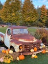 Old rusted pickup in a field with pumpkins