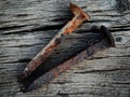 Old Rusted Railroad Spikes on Wood Surface