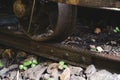 This old rusted railroad tie, Close-up of a train whee Abandoned rail track Royalty Free Stock Photo