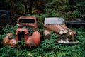 Old rusted retro car Opel Kapitan abandoned in woods