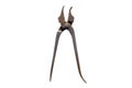 Old, rusted saddler pliers for processing leather, isolated on a white background with a clipping path. Royalty Free Stock Photo