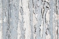 Old rustic blue and grey wood background with peeled color.