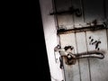 Old Rustic Door Royalty Free Stock Photo