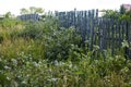 Old rustic fence.