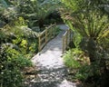 An old rustic fence over a tiny stream in an English country garden