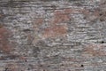 Old rustic gray wood surface background Royalty Free Stock Photo