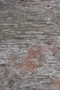 Old rustic gray wood surface background Royalty Free Stock Photo
