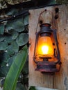 Old rustic lantern with wall plant background Royalty Free Stock Photo