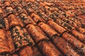Old rustic terracotta roof tiles pattern as background