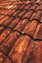 Old rustic terracotta roof tiles pattern as background