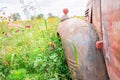 Old rustic tractor tire wheel cover with signal light showing in a green and pink flower field