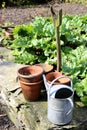 Old rustic vintage flower pots, watering can and spade, on a dry stone wall, in a kitchen garden with rhubarb, on a sunny day Royalty Free Stock Photo