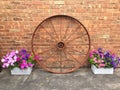 Old rustic wagon wheel and flower display Royalty Free Stock Photo