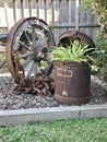 Old rustic wagon wheel and planter