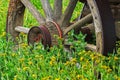 Old rustic Wagon wheel in rural field of yellow flowers Royalty Free Stock Photo