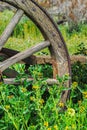 Old rustic Wagon wheel in rural field of yellow flowers Royalty Free Stock Photo