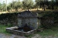 Old rustic water fountain by the rural road, olive grove