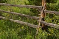 Old Rustic Wood Fence and Wildflowers in Colorado Royalty Free Stock Photo