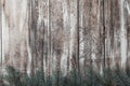 Old, rustic wood texture with natural patterns and cracks on the surface. Royalty Free Stock Photo