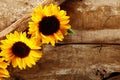 Old rustic wooden background with sunflowers Royalty Free Stock Photo