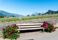 Old rustic wooden bench encased by beautiful red blossoming flowers against a rock wall encasing a vineyard in a mountain valley o