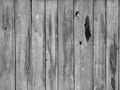 Old rustic wooden fence from planks with hole Royalty Free Stock Photo